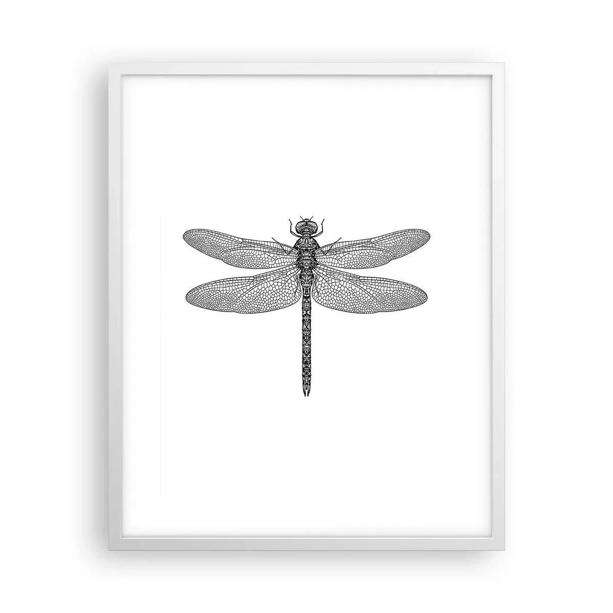 Poster în ramă albă - Precizia naturii - 40x50 cm