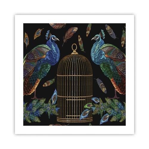 Poster - În veșmânt regal - 50x50 cm