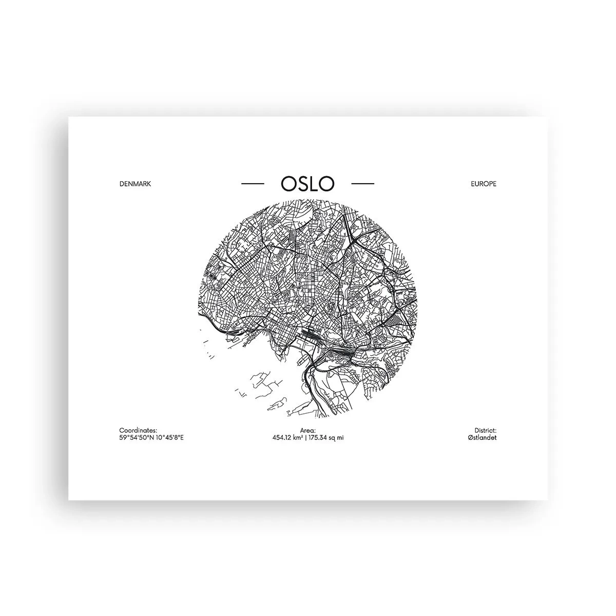 Poster - Anatomia Oslo - 50x40 cm