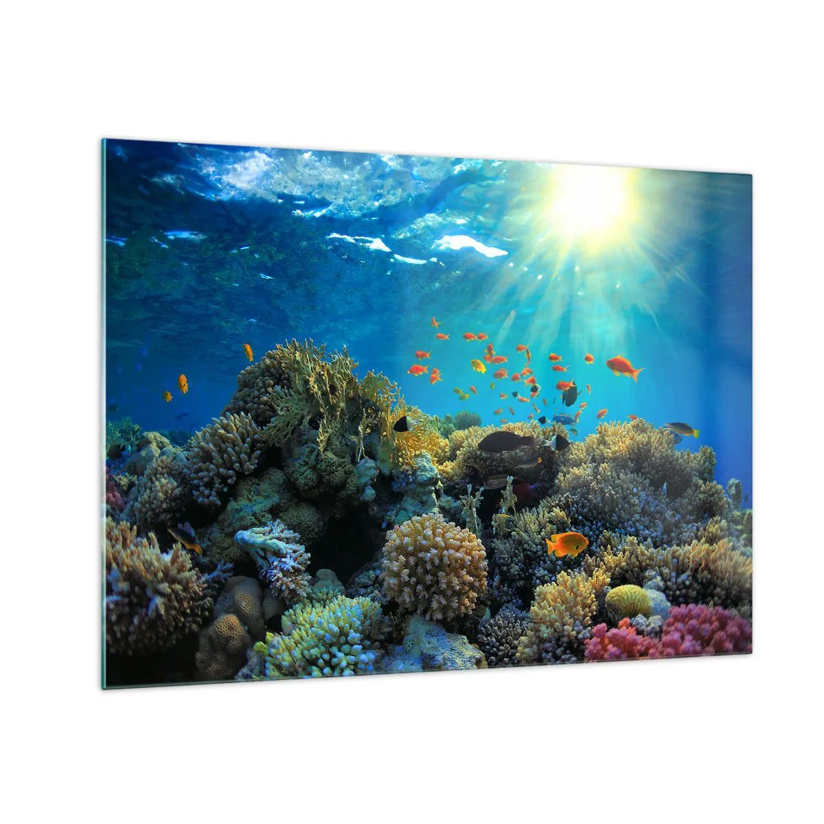 Tablou pe sticlă - Un recif de corali colorat, iluminat de razele soarelui - 70x50cm - Comori subacvatice - Decorațiune modernă pentru perete pentru living și dormitor ARTTOR