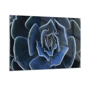 Tablou pe sticlă - Floare de deșert - 120x80 cm