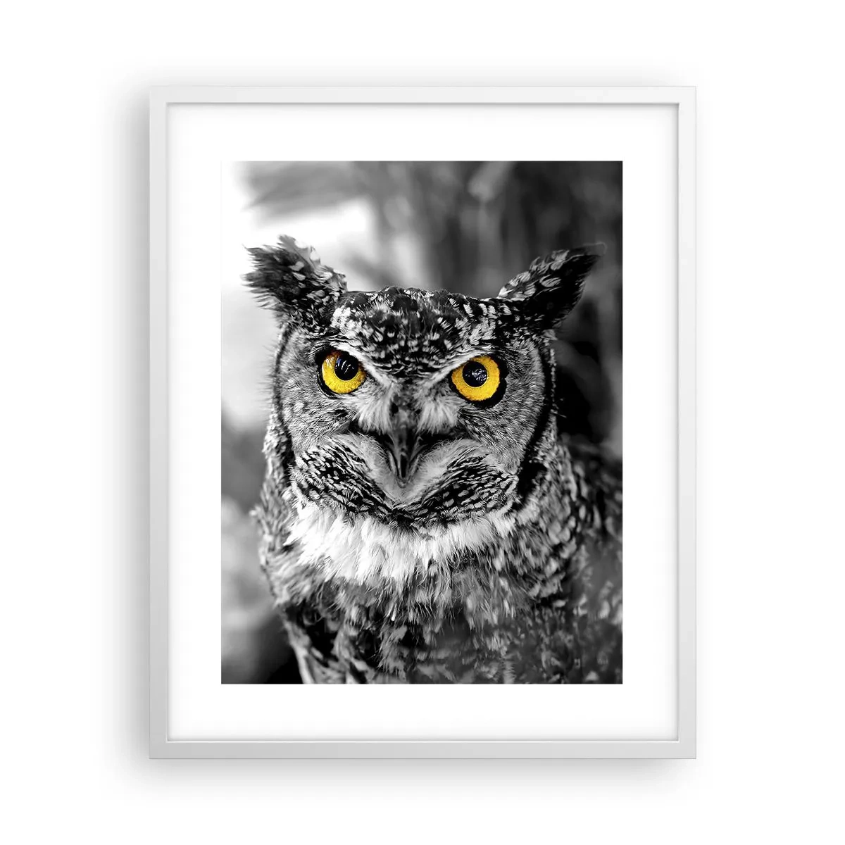 Poster în ramă albă - Nimic nu poate fi ascuns - 40x50 cm