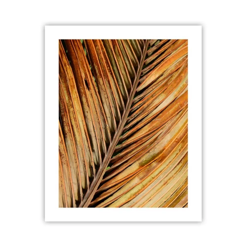 Poster - Aur de nucă de cocos - 40x50 cm
