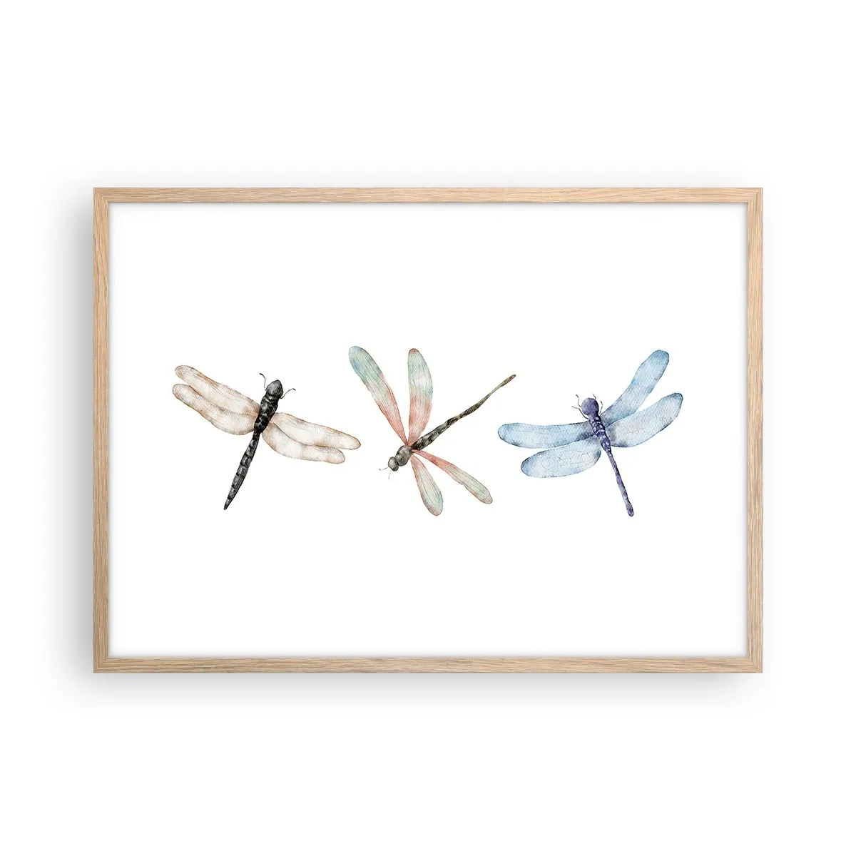 Poster în ramă de stejar deschis - Libelule imponderabile - 70x50 cm