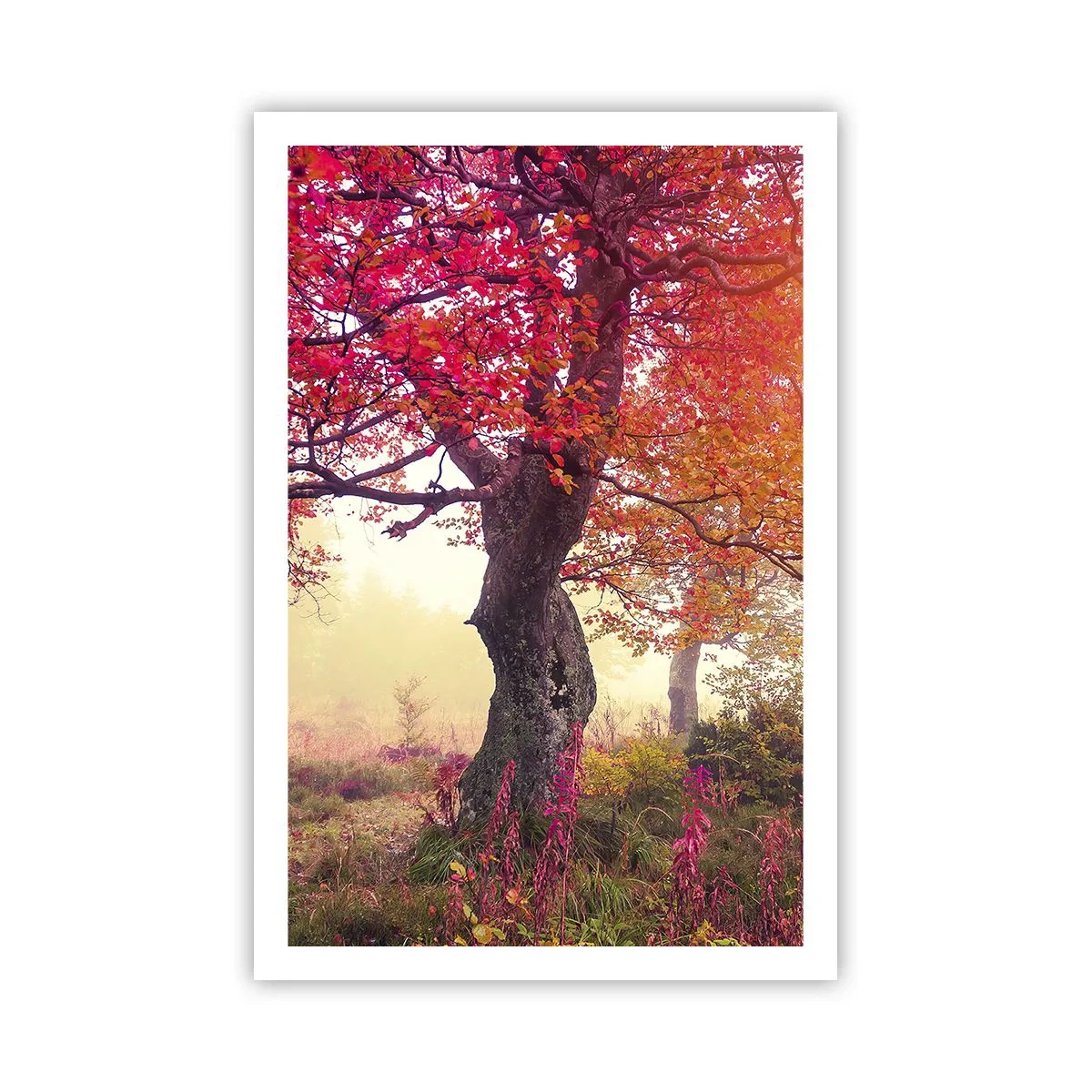Poster - O frenezie de înflorire - 61x91 cm
