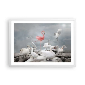 Poster în ramă albă - De unde am venit? - 70x50 cm