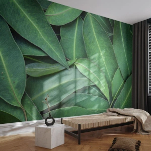 Tapet Premium Canvas - Suculente și proaspete - Frunze, Eucalipt, Natură - 150x105 cm