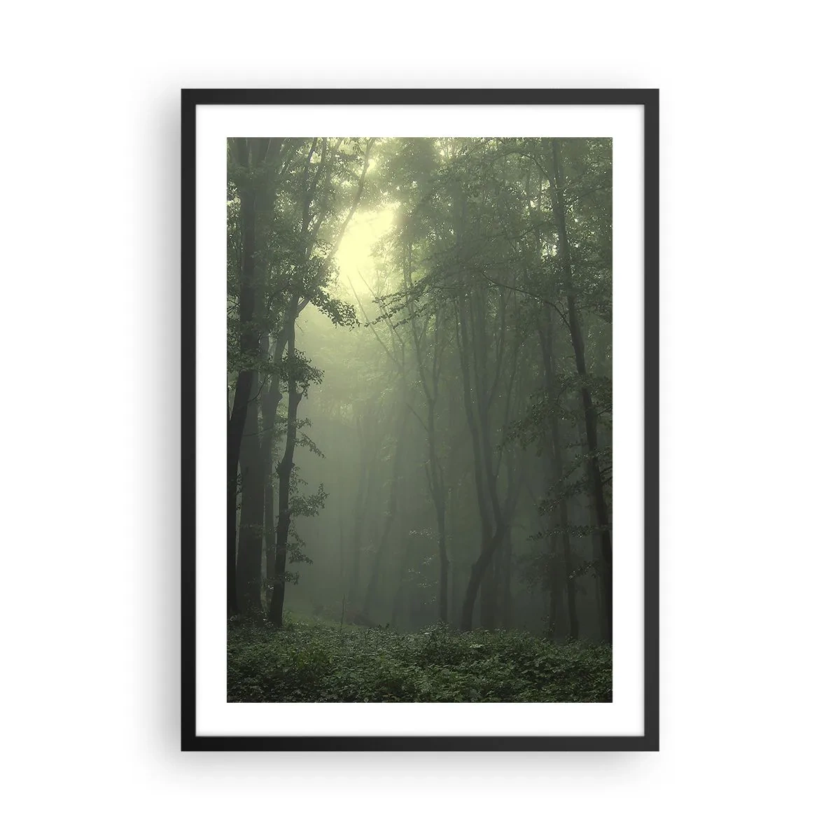 Poster în ramă neagră - Copaci încețoșați într-o pădure verde - 50x70cm - Înainte să se trezească - Decorațiune modernă pentru perete pentru living și dormitor ARTTOR