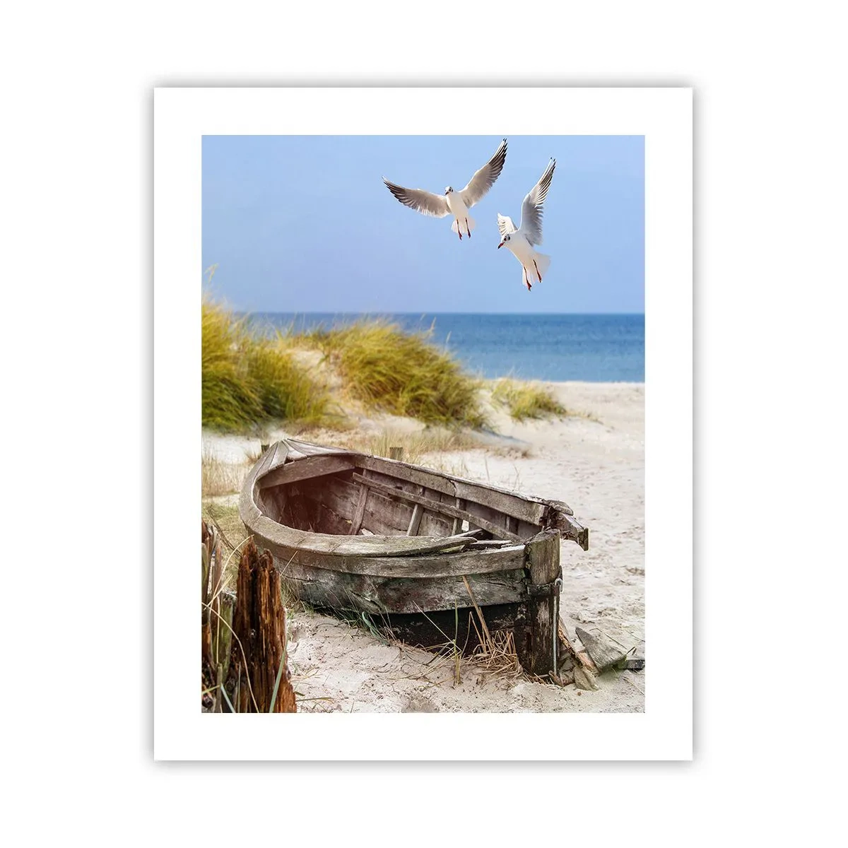 Poster - Scăldate în vânt - 40x50 cm