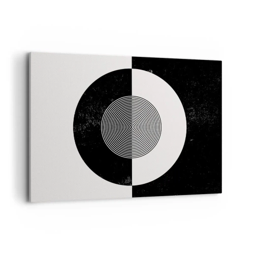 Tablou pe pânză - Armonie în alb și negru - 100x70 cm