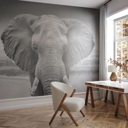 Tapet Premium Sand - Bun venit în lumea mea - Elefant, Africa, Animale - 150x105 cm