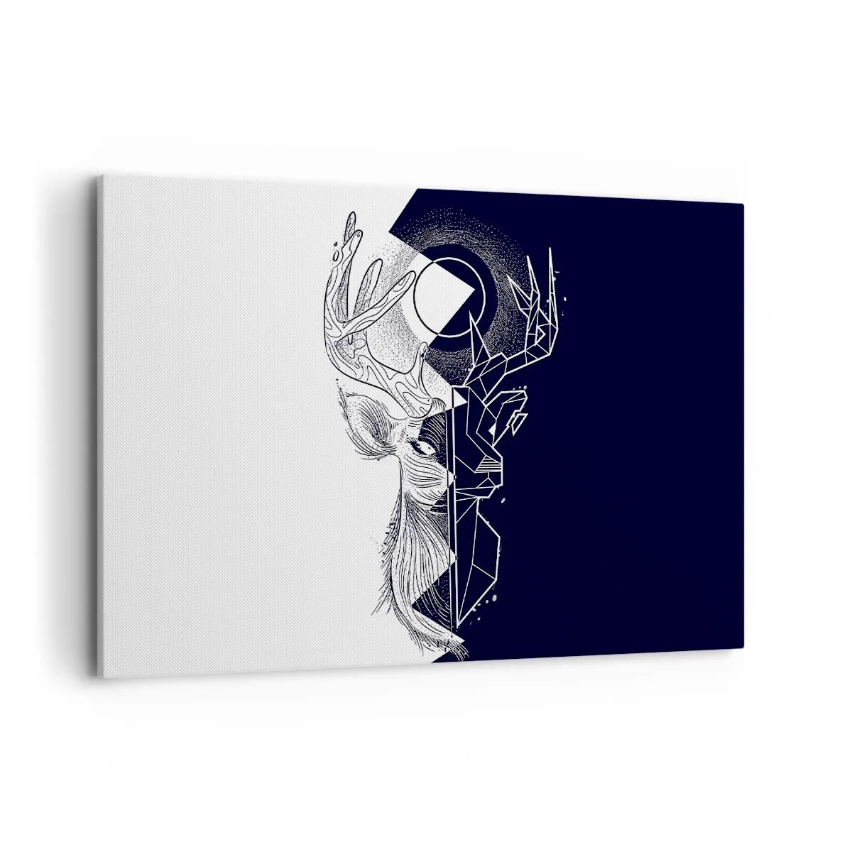 Tablou pe pânză - Lupta și unitatea contrariilor - 120x80 cm