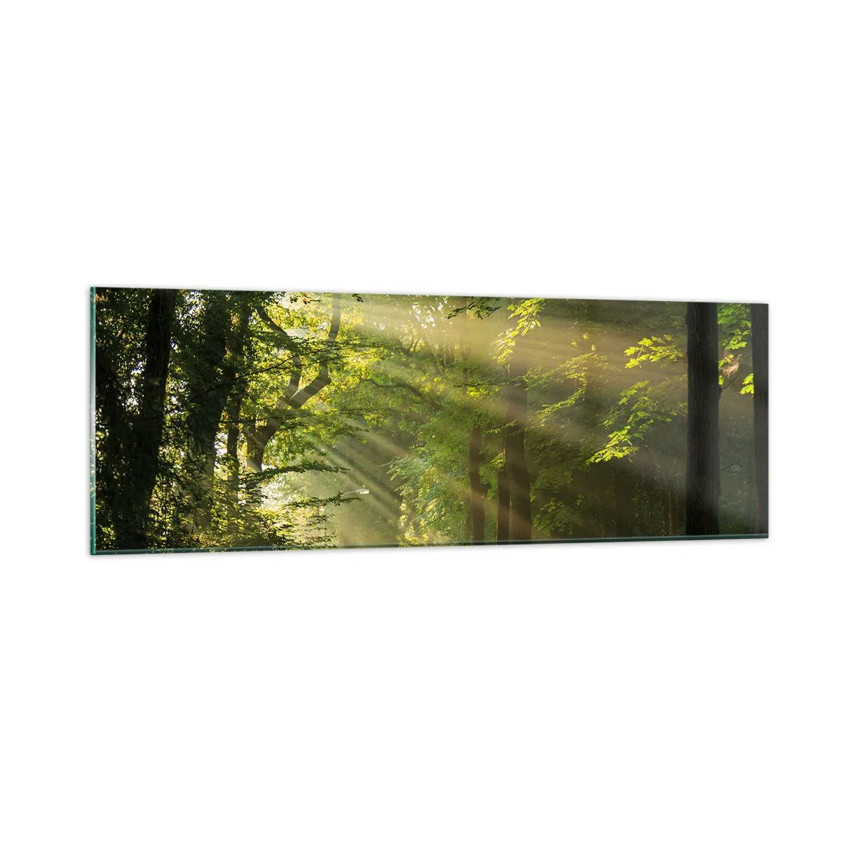 Tablou pe sticlă - Moment de pădure - 90x30 cm