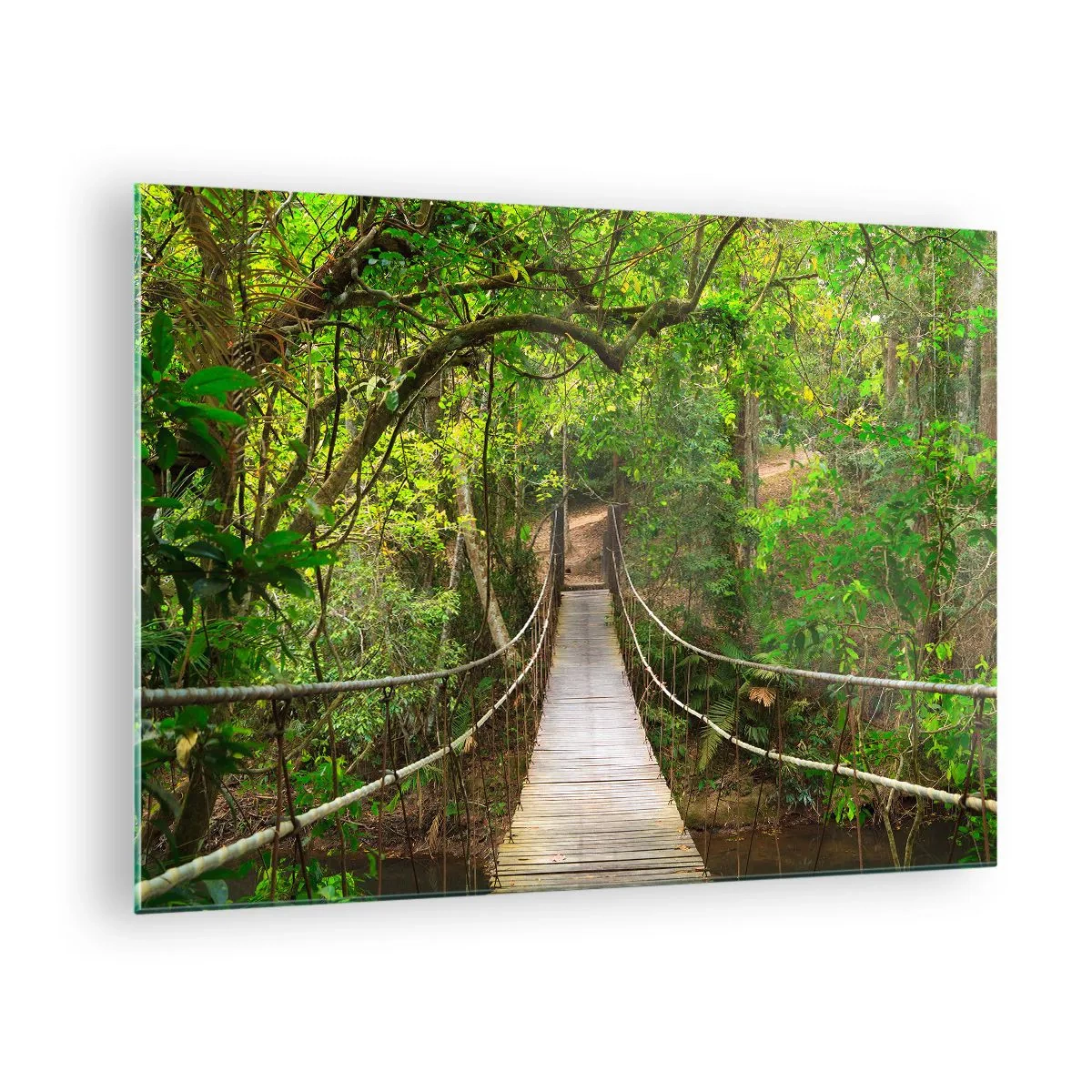 Tablou pe sticlă - Pod suspendat într-o pădure tropicală - 70x50cm - Pentru că în grădină crește o liană - Decorațiune modernă pentru perete pentru living și dormitor ARTTOR