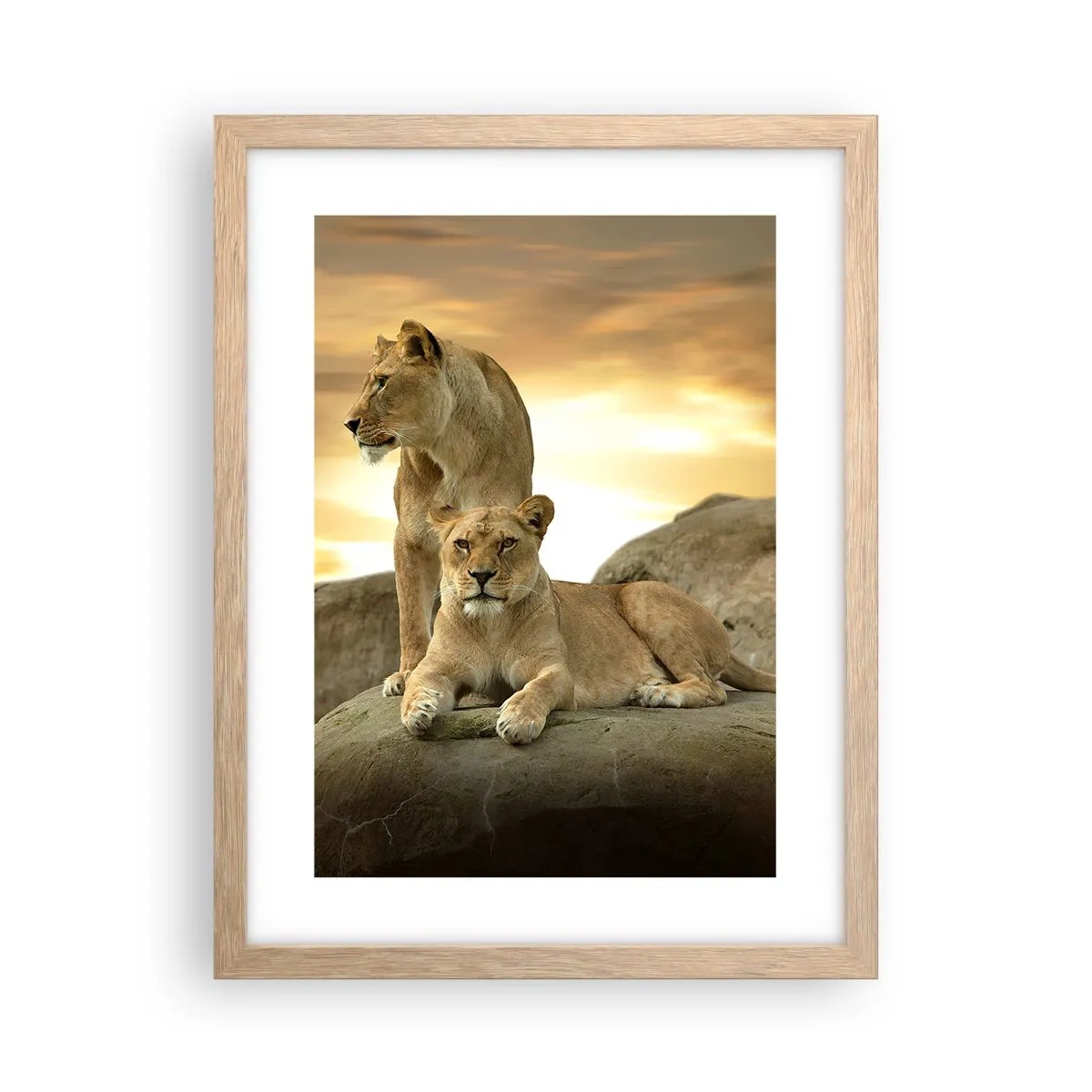 Poster în ramă de stejar deschis - Maiestate regală - 30x40 cm
