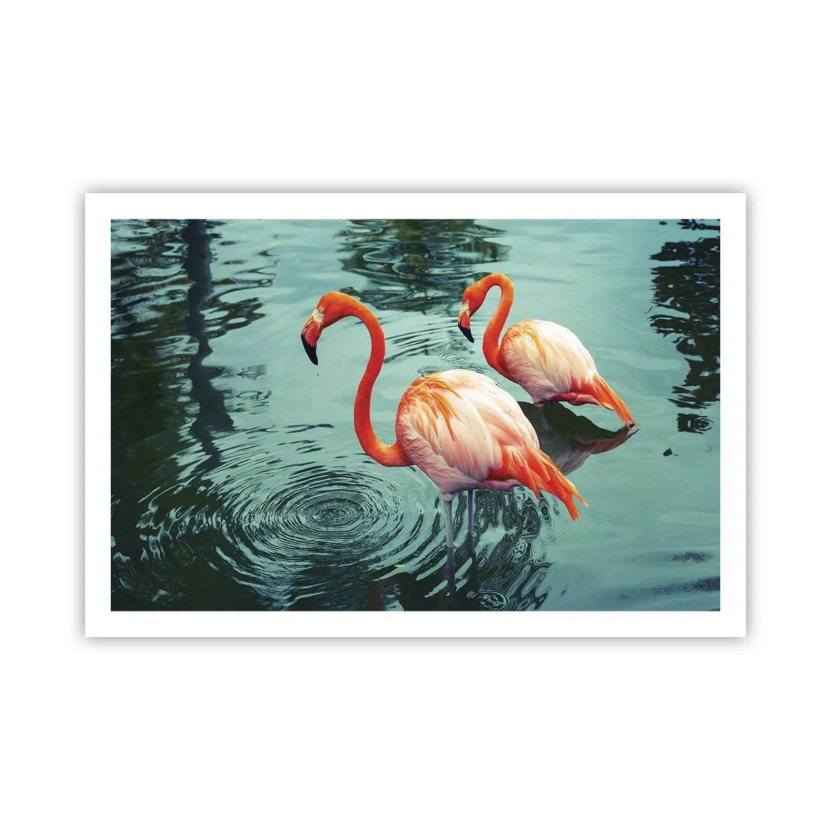 Poster - Suntem bune de revistele de modă - 91x61 cm