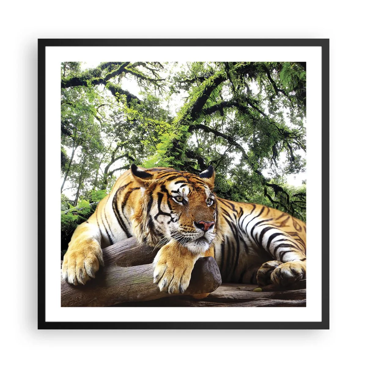 Poster în ramă neagră - Cu respect - 60x60 cm