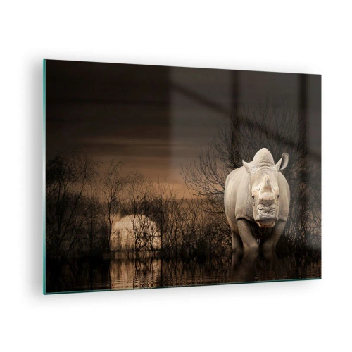 Tablou pe sticlă - Rinocer pe fondul apusului de soare - 70x50cm - Albul împotriva naturii - Decorațiune modernă pentru perete pentru living și dormitor ARTTOR