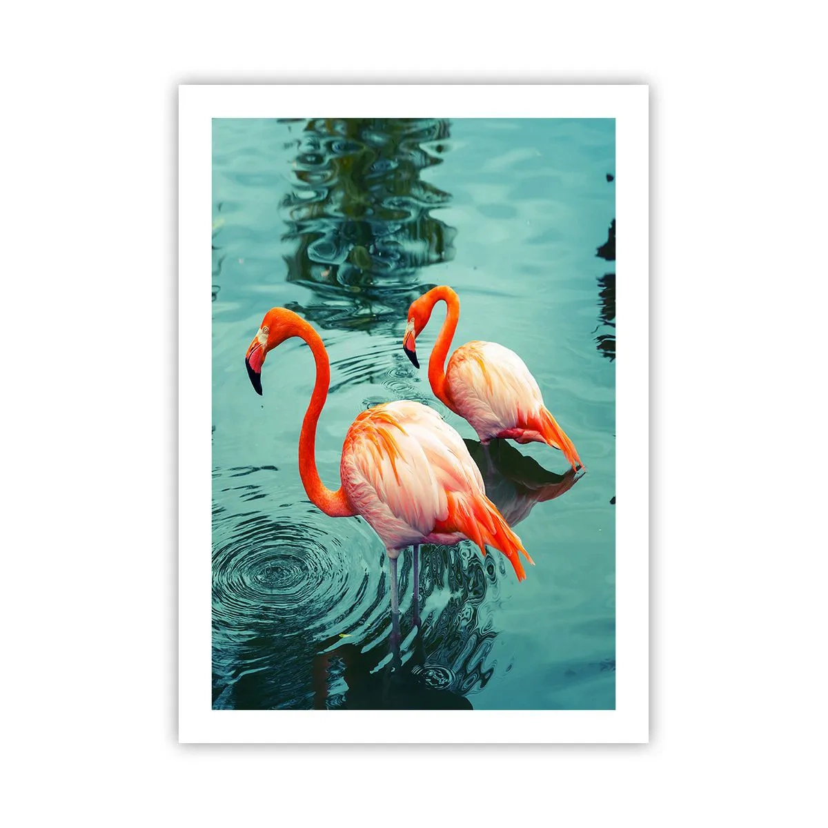 Poster - Suntem bune de revistele de modă - 50x70 cm