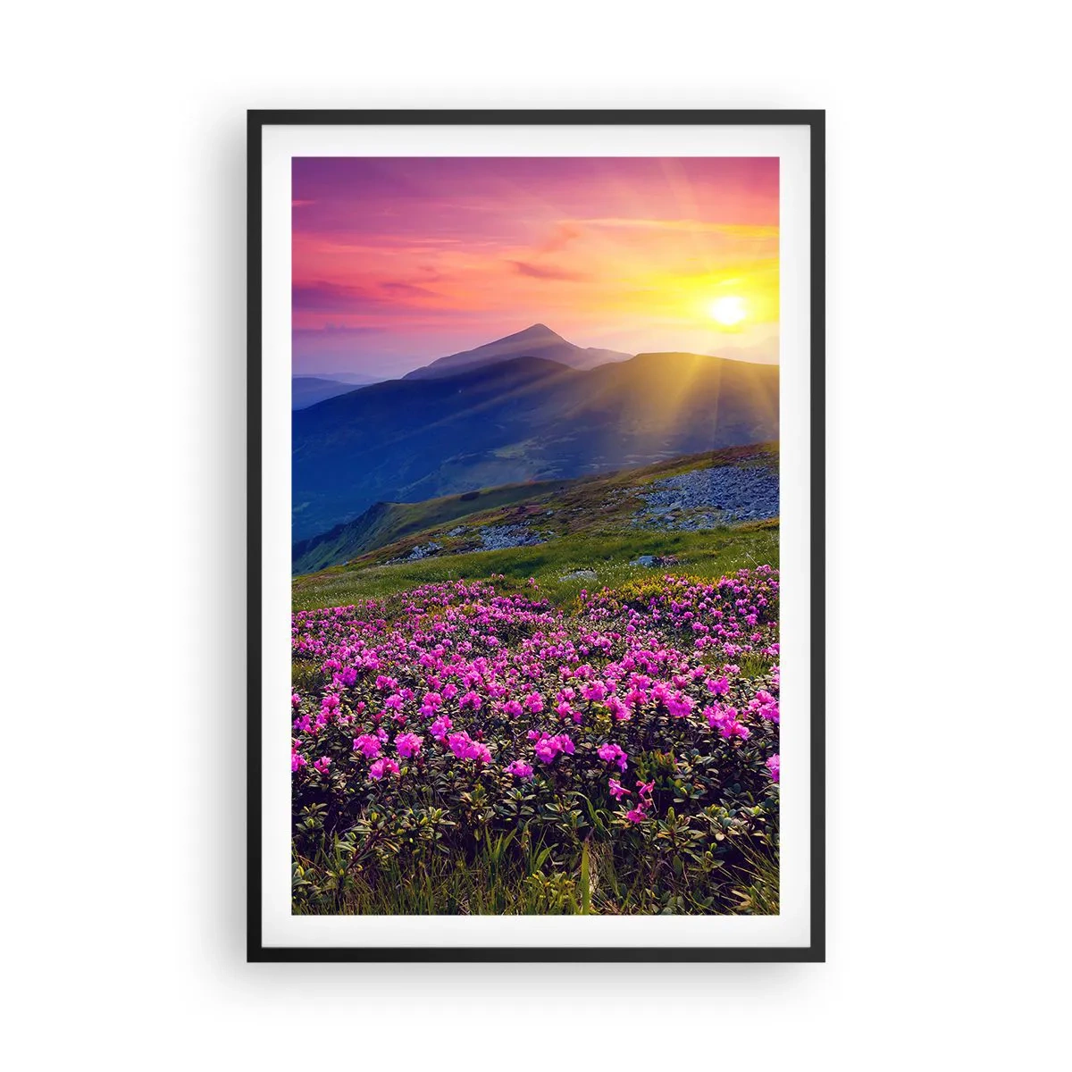 Poster în ramă neagră - ... Și peste tot în jur se simte un miros de jneapăn și parfum de ierburi... - 61x91 cm