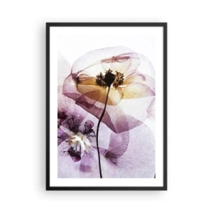 Poster în ramă neagră - Flori transparente în nuanțe pastelate - 50x70cm - Corp de flori transparente - Decorațiune modernă pentru perete pentru living și dormitor ARTTOR