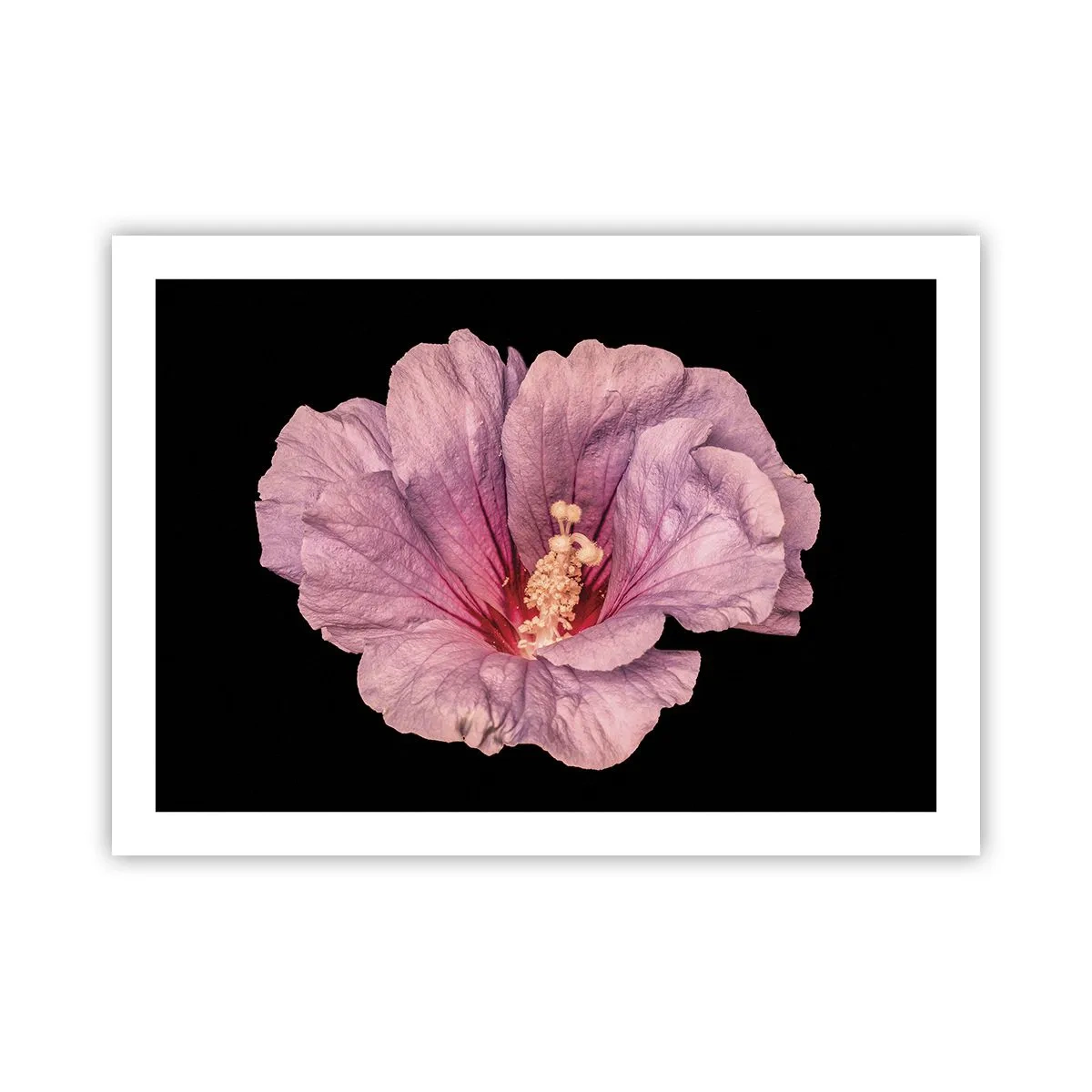 Poster - Direct la inimă - 70x50 cm