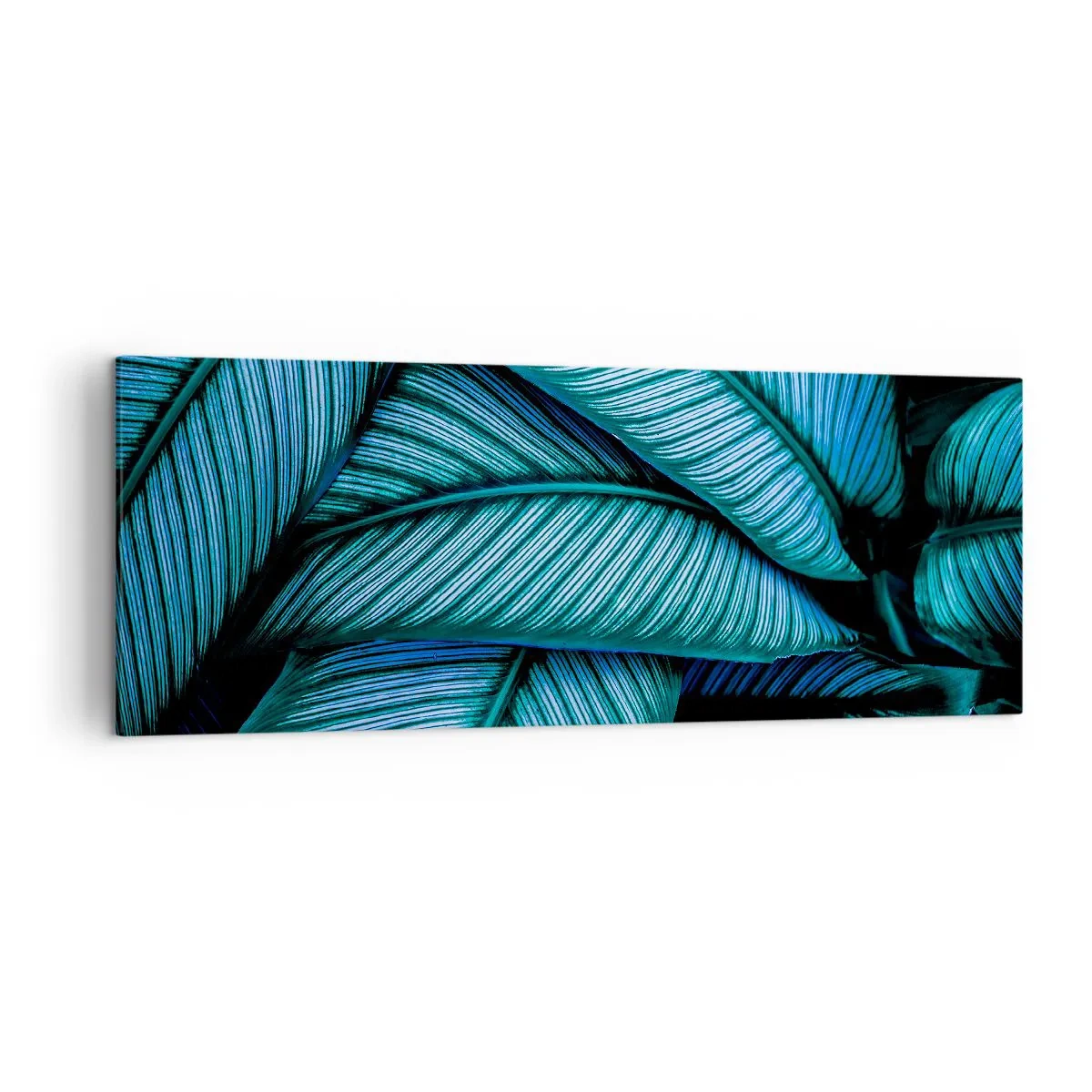 Tablou pe pânză - Linii de viață - 140x50 cm