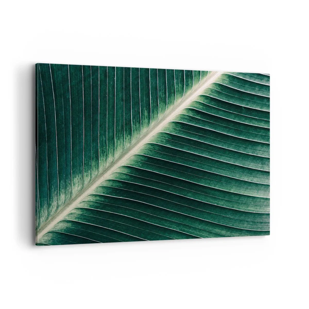Tablou pe pânză - Ritmul naturii - 100x70 cm