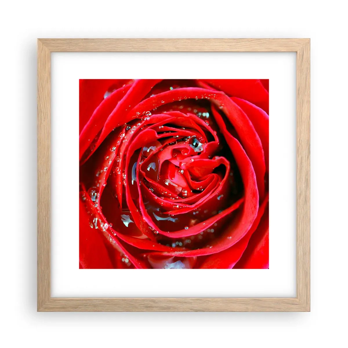 Poster în ramă de stejar deschis - În picături de rouă - 30x30 cm