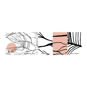 Mostră tapet autocolant Deluxe Sticker - Într-o rețea de crengi - Abstracția, Grafică, Proiecta - 100x30 cm