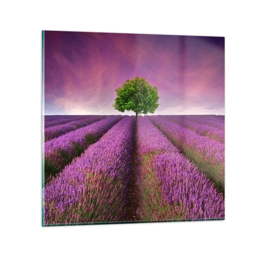 Tablou pe sticlă - În câmpurile de lavandă - 30x30 cm