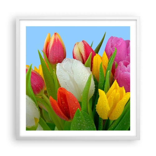 Poster în ramă albă - Un curcubeu floral în picături de rouă - 60x60 cm