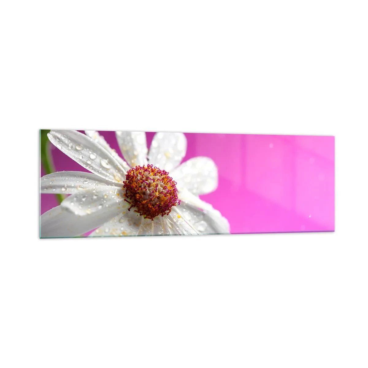 Tablou pe sticlă - Modestă în frumusețea ei - 160x50 cm