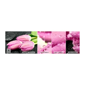 Mostră tapet autocolant Deluxe Sticker - Pe piatră neagră - Flori, Lalele, Buchet de flori - 100x30 cm