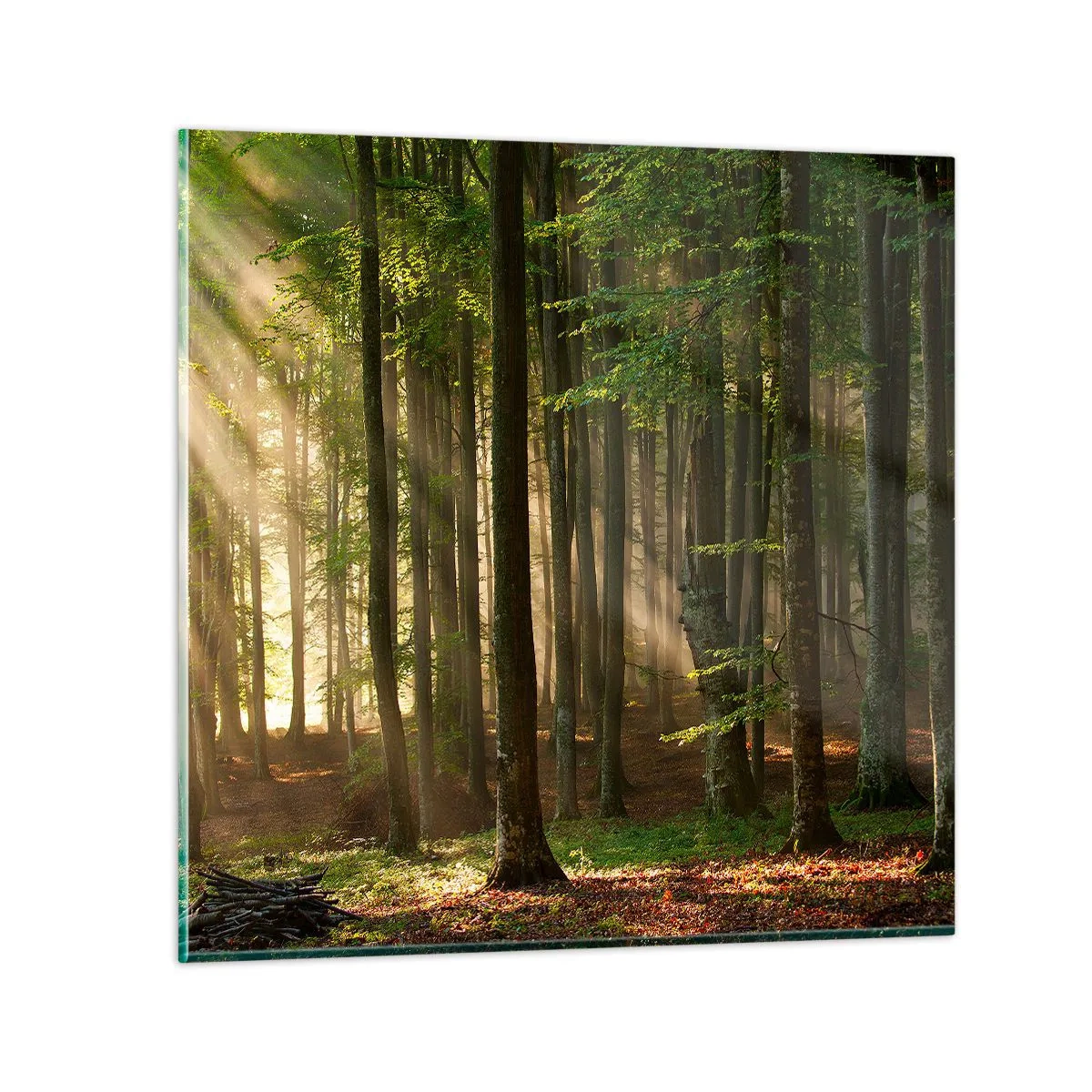 Tablou pe sticlă - Strălucitoare într-o dimineață de primăvară - 70x70 cm