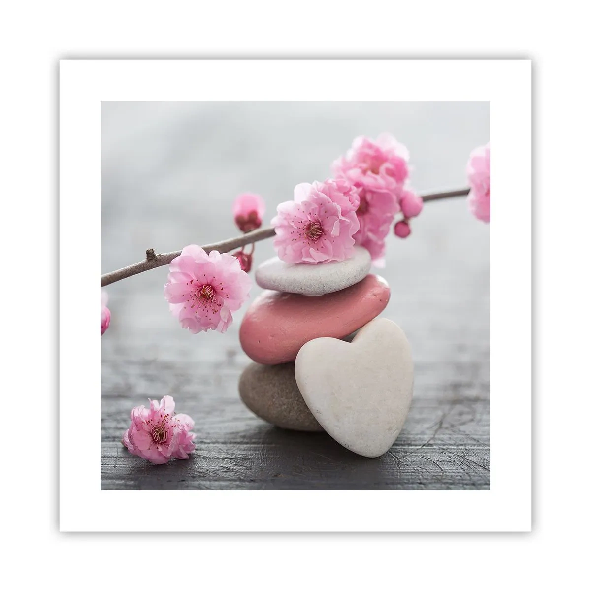 Poster - Fericirea florilor de cireș - 40x40 cm