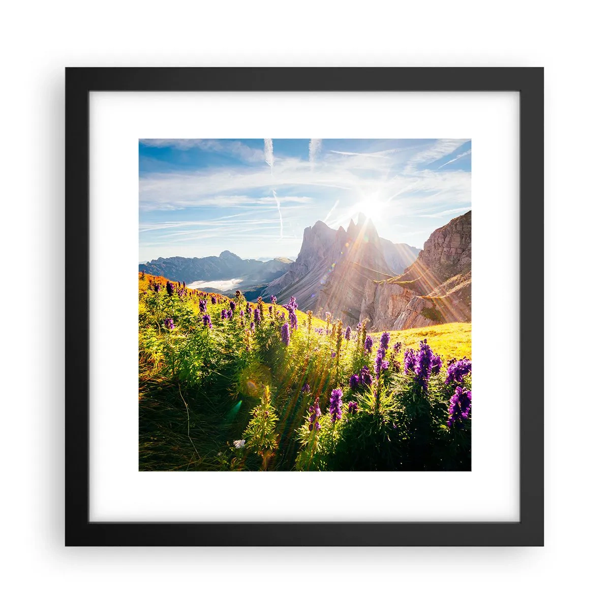 Poster în ramă neagră - Viața secretă a ierburilor - 30x30 cm