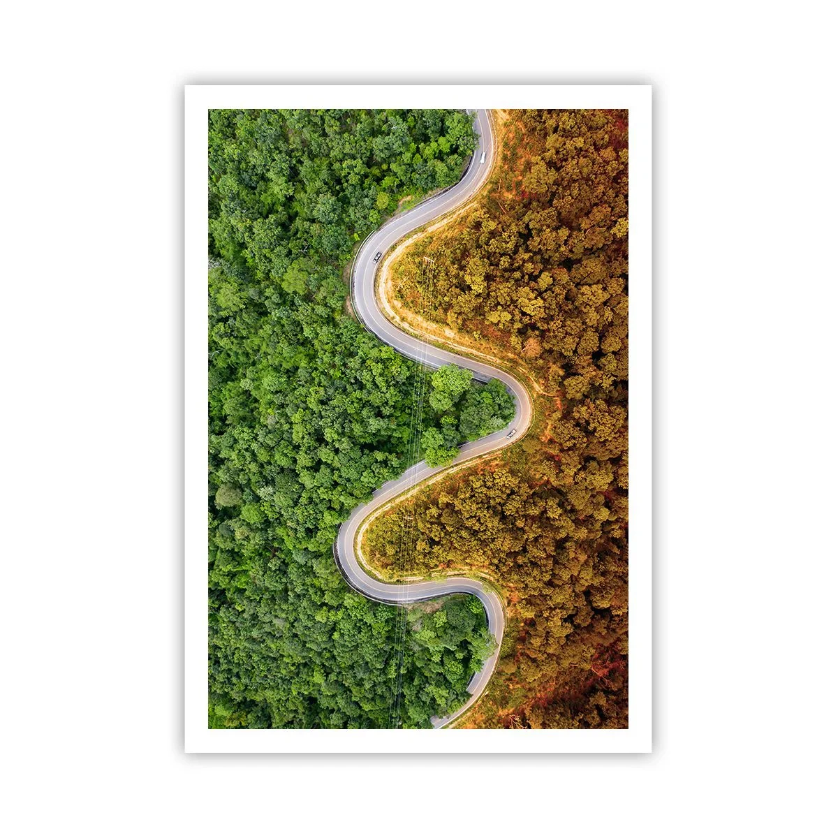 Poster - Frontiere și defilee - 70x100 cm