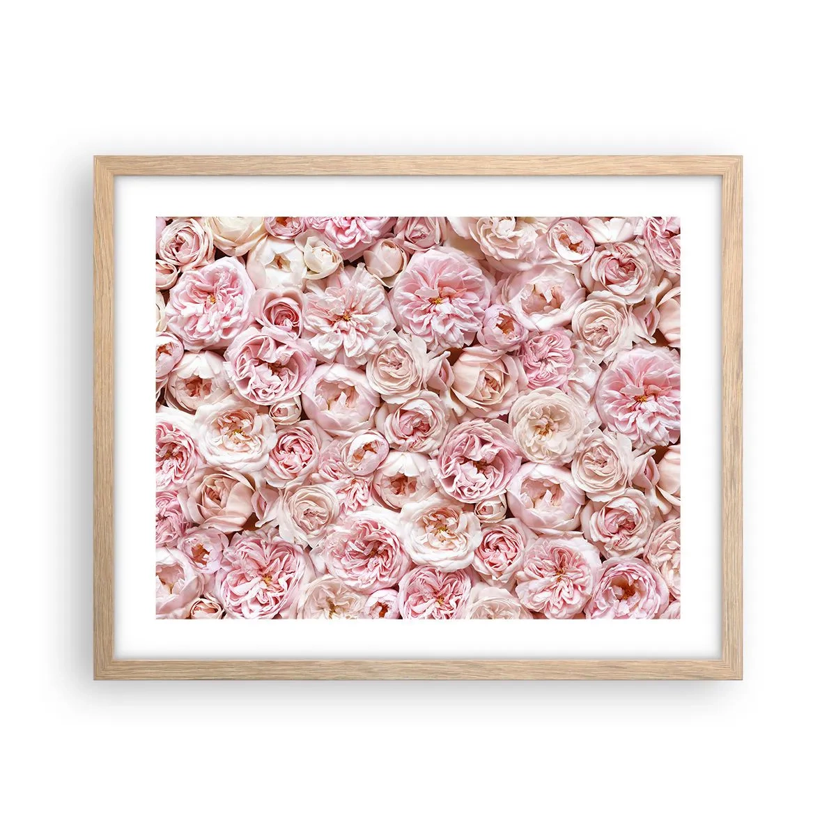 Poster în ramă de stejar deschis - Presărat cu trandafiri - 50x40 cm