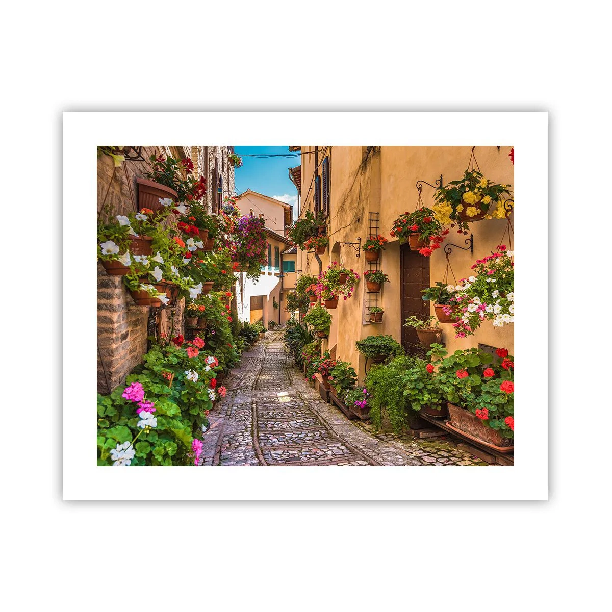 Poster - Străduță italiană - 50x40 cm