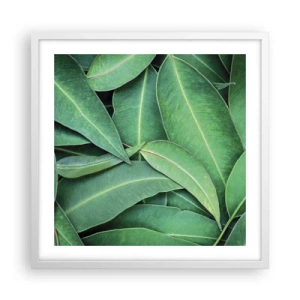 Poster în ramă albă - Suculente și proaspete - 50x50 cm