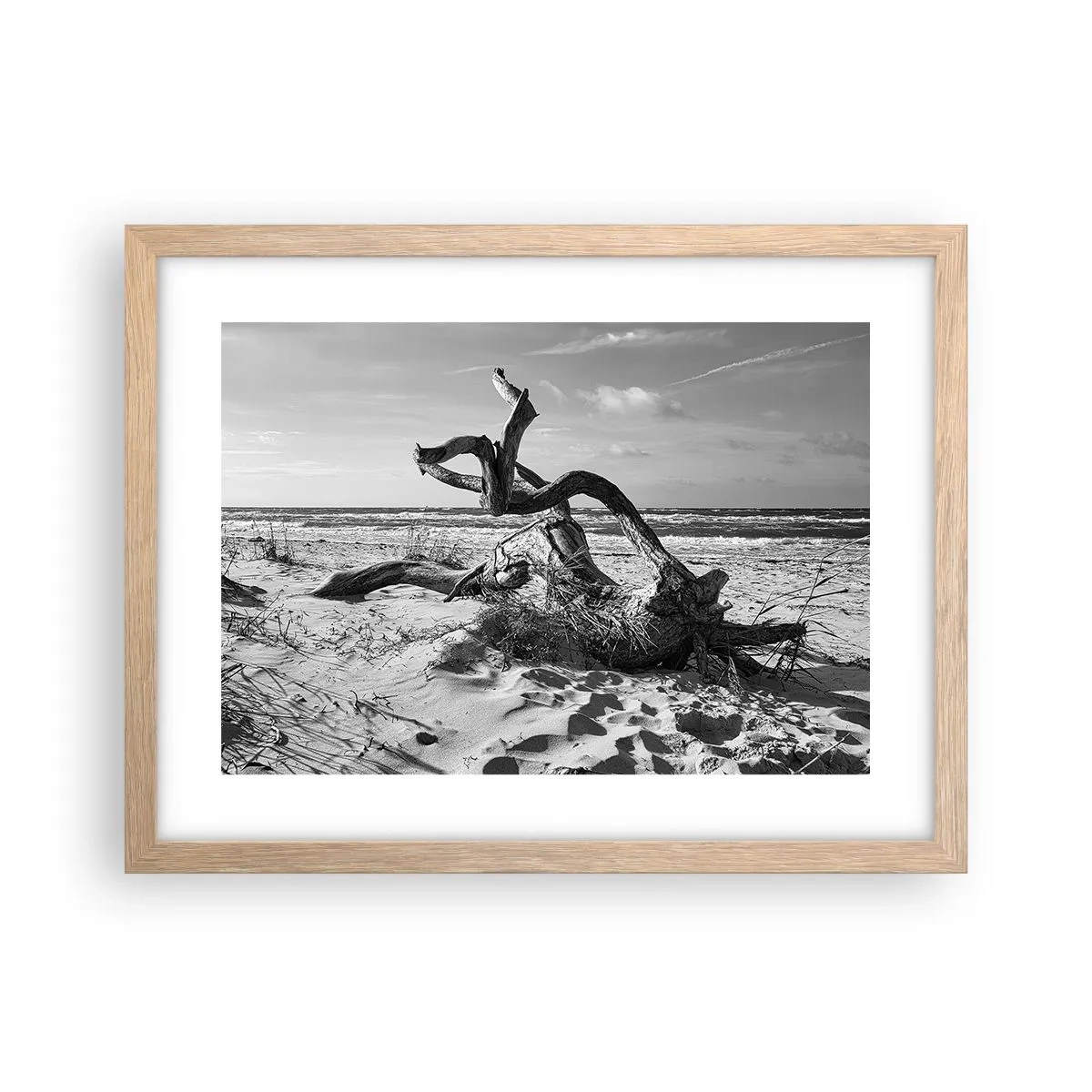 Poster în ramă de stejar deschis - Sculptură marină - 40x30 cm