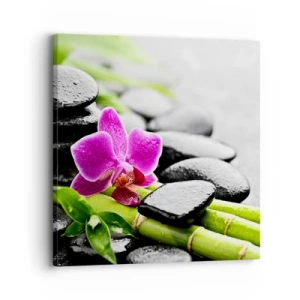 Tablou pe pânză - Într-un echilibru pașnic - 30x30 cm