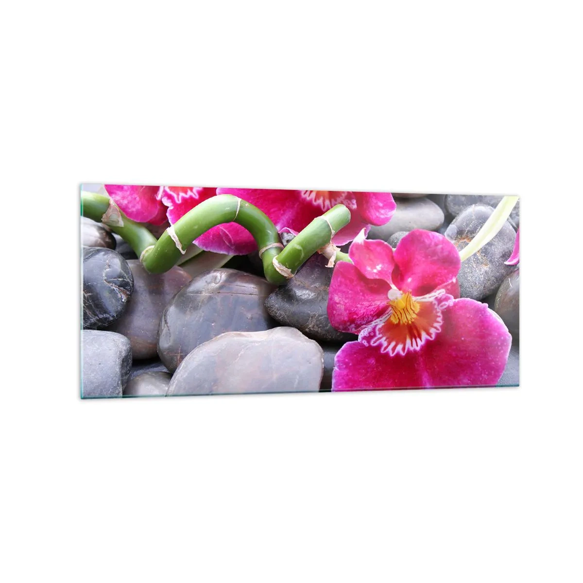 Tablou pe sticlă - Frig și căldură - 120x50 cm