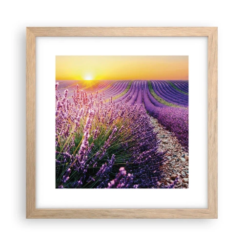Poster în ramă de stejar deschis - Câmpul parfumat - 30x30 cm