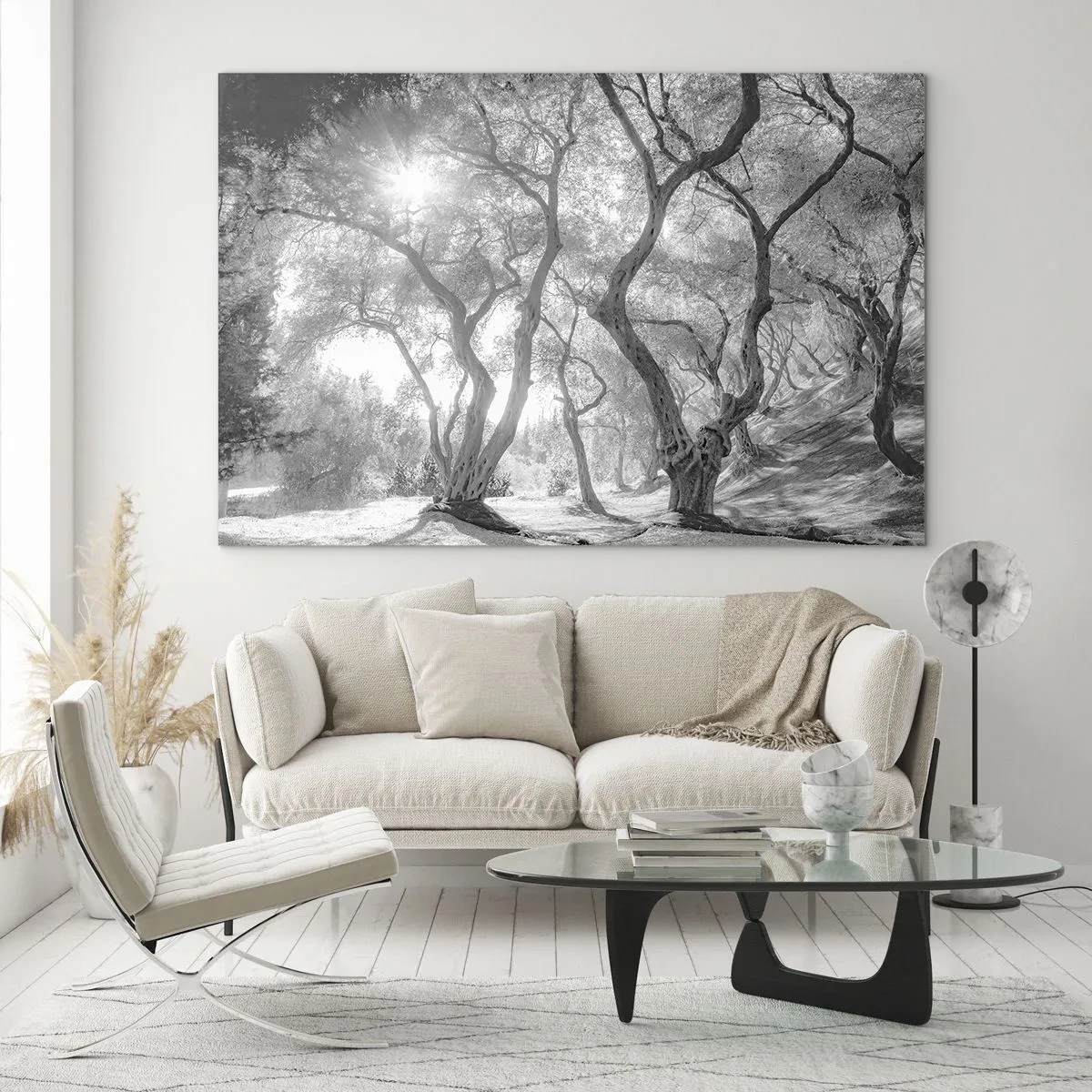 Tablou pe sticlă - Măslini albi și negri în lumina soarelui - 70x50cm - Într-o livadă de măslini - Decorațiune modernă pentru perete pentru living și dormitor ARTTOR