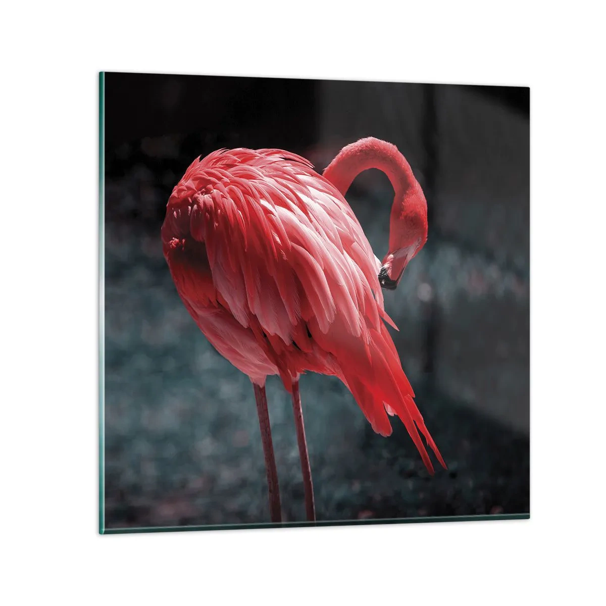 Tablou pe sticlă - Poemul purpuriu al naturii - 60x60 cm