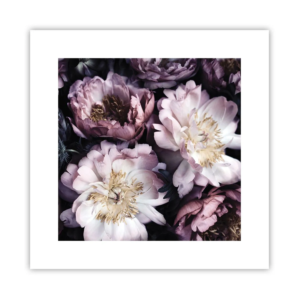 Poster - Buchet în stil vechi - 30x30 cm