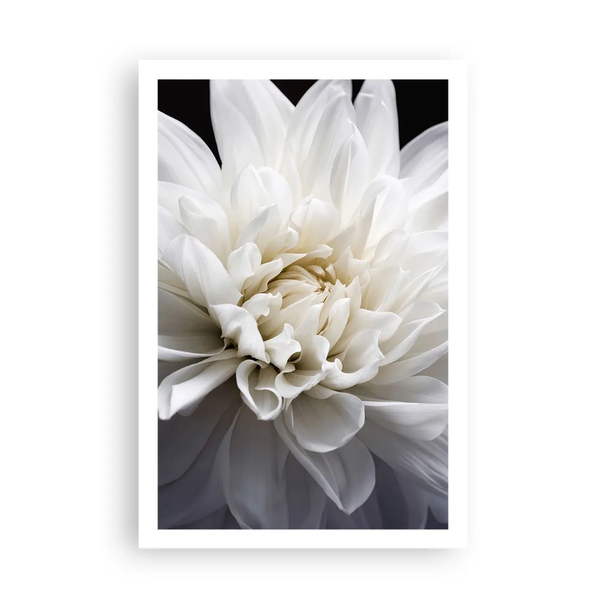 Poster - Dimineața miresei - 61x91 cm