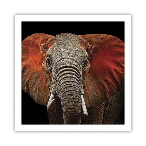 Poster - Sunt sălbatic, și tu? - 60x60 cm